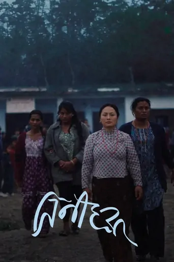 Watch Elephants in the Fog Film