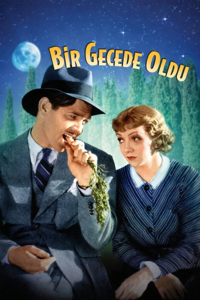 Watch Bir Gecede Oldu Film